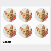 Sticker Rond Un mignon chaton à table rouge vous regarde. (Feuille)