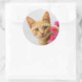 Sticker Rond Un mignon chaton à table rouge vous regarde. (Sac)