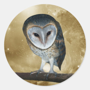 Sticker Rond Un mignon petit Imaginaire de Chouette