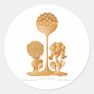 Sticker Rond Un moule mince