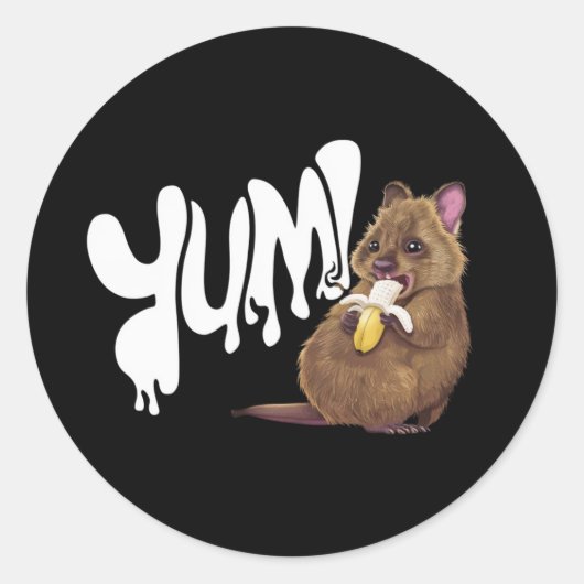 Sticker Rond Un Quokka mangeant une banane (Devant)