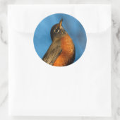 Sticker Rond Un Robin Américain Cherche (Sac)