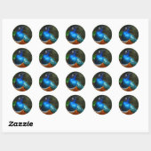 Sticker Rond Un superbe Starling Africain (Feuille)