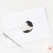 Sticker Rond Un voleur américain construit un nid (Enveloppe)