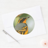 Sticker Rond Une Belle Grive Étonnante Mais Sûre Variée (Enveloppe)