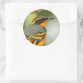 Sticker Rond Une Belle Grive Étonnante Mais Sûre Variée (Sac)