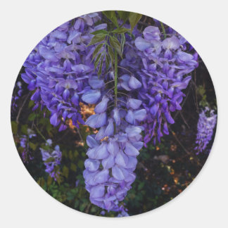 Sticker Rond une belle touche de nature