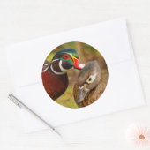 Sticker Rond Une paire inséparable de canards à bois (Enveloppe)