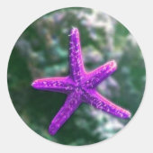 Sticker Rond Une Plage Rocky Starfish violette (Devant)