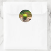 Sticker Rond Une pomme par jour (Sac)
