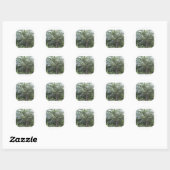 Sticker Rond Une promenade dans le parc (Feuille)