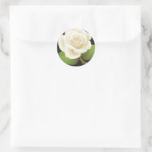 Sticker Rond Une rose blanche (Sac)
