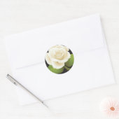 Sticker Rond Une rose blanche (Enveloppe)