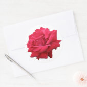 Sticker Rond Une rose rouge classique (Enveloppe)