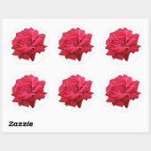 Sticker Rond Une rose rouge classique (Feuille)