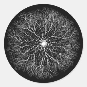 Sticker Rond Une Source Conception de l'Arbre de Vie