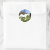 Sticker Rond Unicornes (Sac)