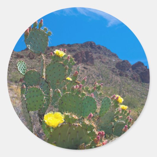 Sticker Rond USA, Arizona. Cactus (Devant)