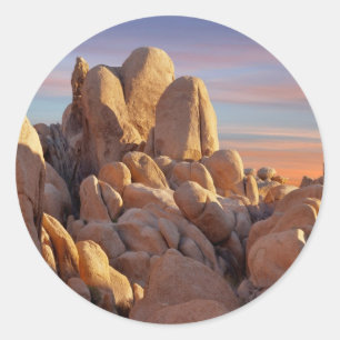 Sticker Rond USA, Californie, Parc national de Joshua Tree