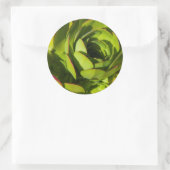 Sticker Rond USA, Californie. Plante Lobelia géant gros plan (Sac)