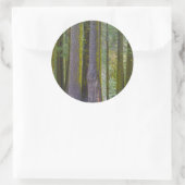 Sticker Rond USA, Californie. Troncs d'arbre couverts par la mo (Sac)