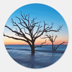 Sticker Rond USA, Caroline du Sud, Edisto Island, Botany Bay