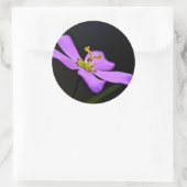 Sticker Rond USA, Floride, Big Cypress National Preserve (Sac)