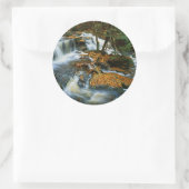 Sticker Rond USA, Pennsylvanie, Ricketts Glen State Park (Sac)