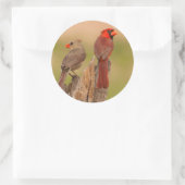 Sticker Rond USA, Texas, comté d'Hidalgo. Cardinal Pair (Sac)