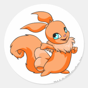 Sticker Rond Usul Orange