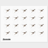 Sticker Rond Utahraptor (Feuille)