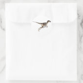 Sticker Rond Utahraptor (Sac)