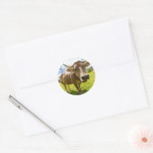 Sticker Rond Vache (Enveloppe)
