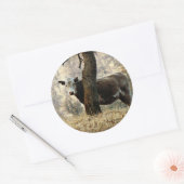 Sticker Rond Vache derrière l'arbre (Enveloppe)