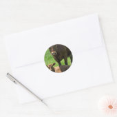 Sticker Rond Vache Et Veau (Enveloppe)