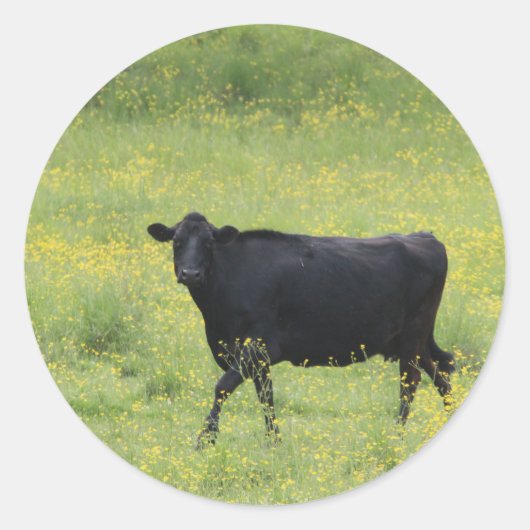 Sticker Rond Vache noire_0075 (Devant)