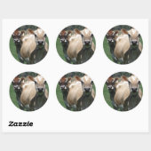 Sticker Rond Vaches du Jersey (Feuille)