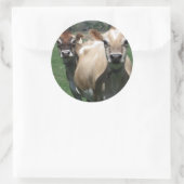 Sticker Rond Vaches du Jersey (Sac)