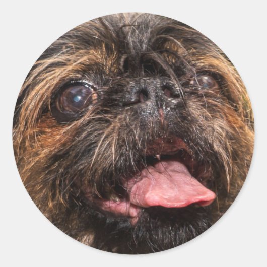 Sticker Rond Valence ! (Devant)