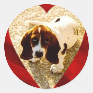 Sticker Rond Valentine Bassett Hound