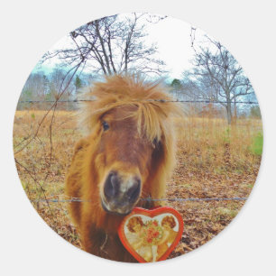 Sticker Rond Valentine Heart Miniature Brown Horse