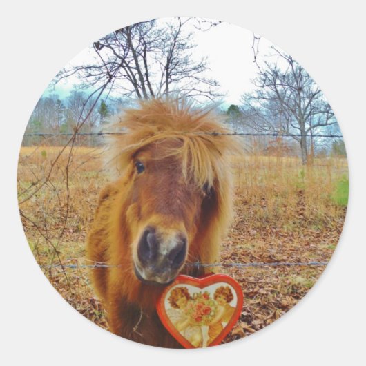 Sticker Rond Valentine Heart Miniature Brown Horse (Devant)