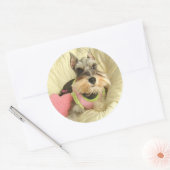 Sticker Rond Valentine Miniature Schnauzer (Enveloppe)