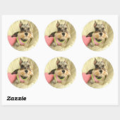 Sticker Rond Valentine Miniature Schnauzer (Feuille)