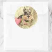 Sticker Rond Valentine Miniature Schnauzer (Sac)