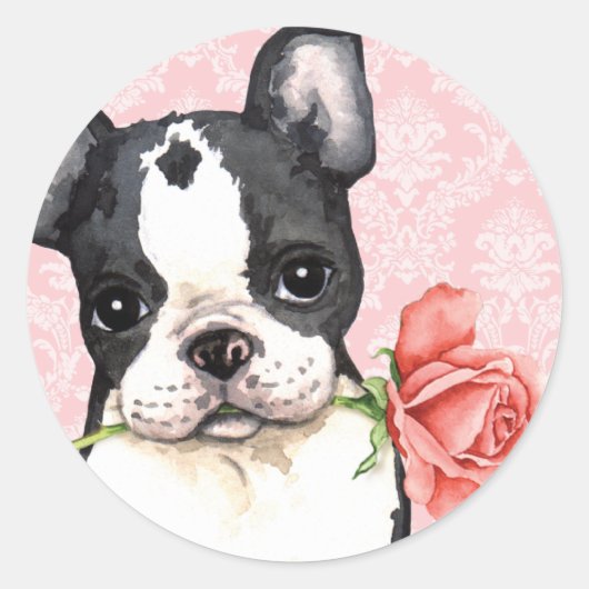 Sticker Rond Valentine Rose Boston Terrier (Devant)