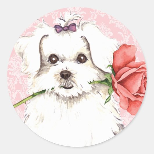 Sticker Rond Valentine Rose maltais (Devant)