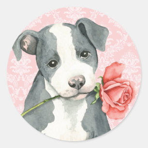 Sticker Rond Valentine Rose Pit Bull