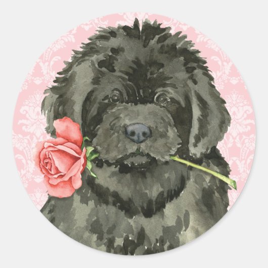 Sticker Rond Valentine Rose Terre-Neuve (Devant)