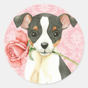 Sticker Rond Valentine Rose Toy Fox Terrier
